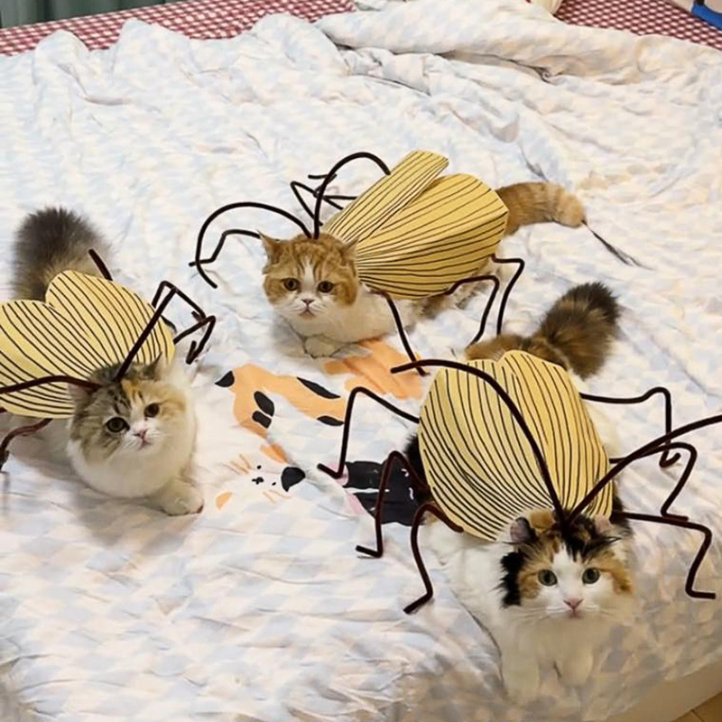 Funny Cockroach Cosplay Cat Co - Cosplay Prop Kit recension och pris