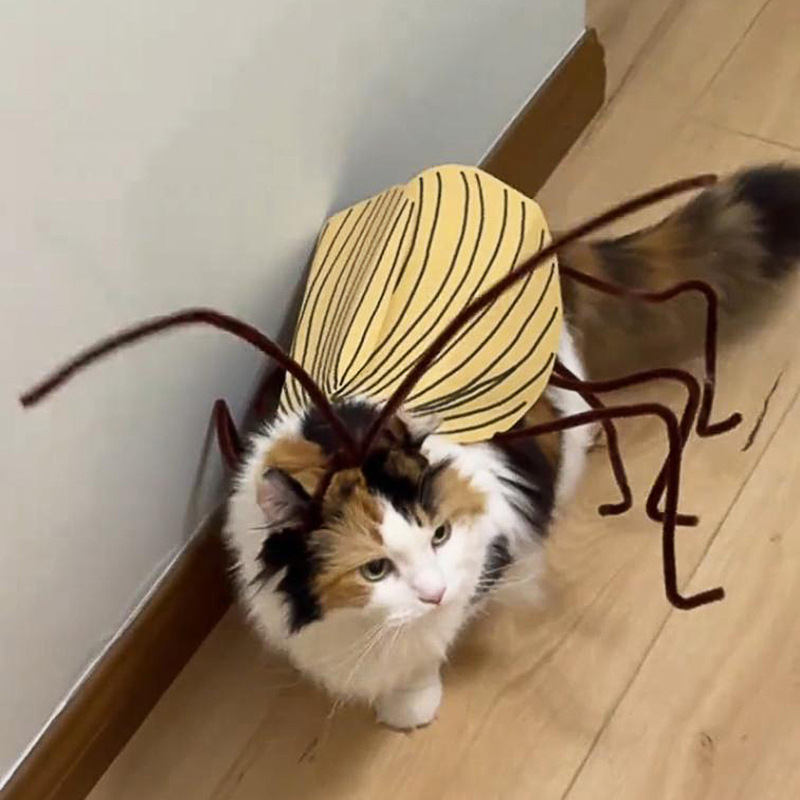 Funny Cockroach Cosplay Cat Co - Cosplay Prop Kit recension och pris