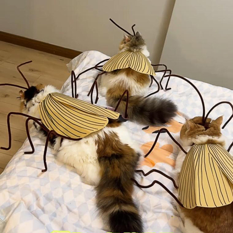 Funny Cockroach Cosplay Cat Co - Cosplay Prop Kit recension och pris